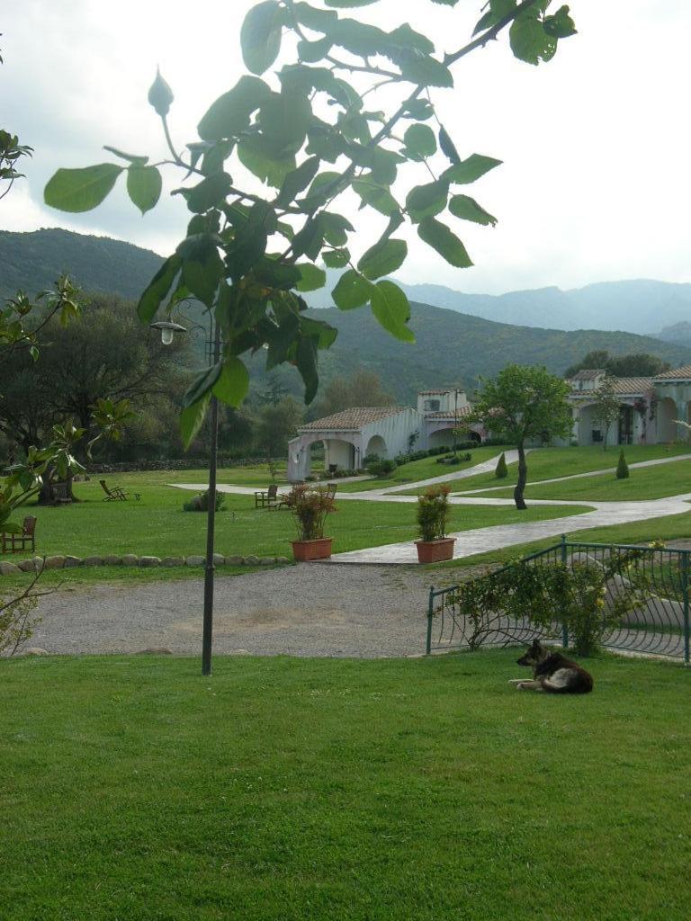 Tenuta Le Terre 1927 Guest House San Teodoro  Bagian luar foto
